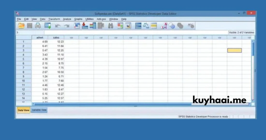 Ibm Spss Statistics 26 Full Version For Windows [PC] screenshot