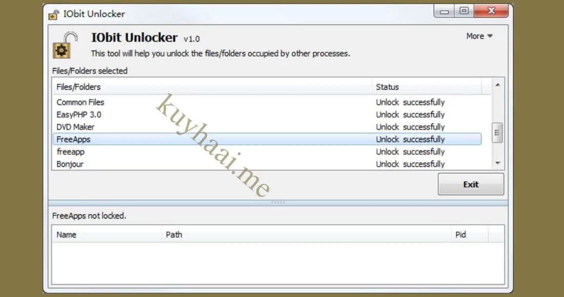 Download Iobit Unlocker 1.3.0.12 Gratis Terbaru screenshot