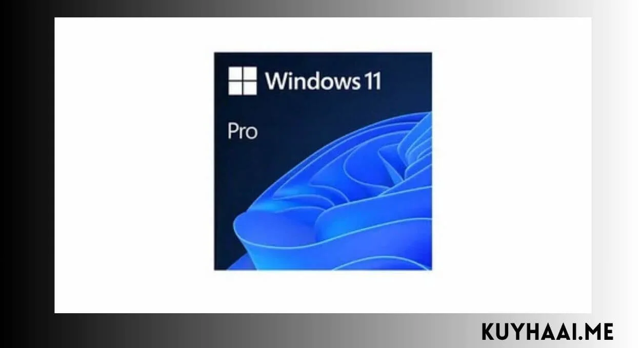 Download Windows 11 Pro 24H2 Full Version Terbaru screenshot
