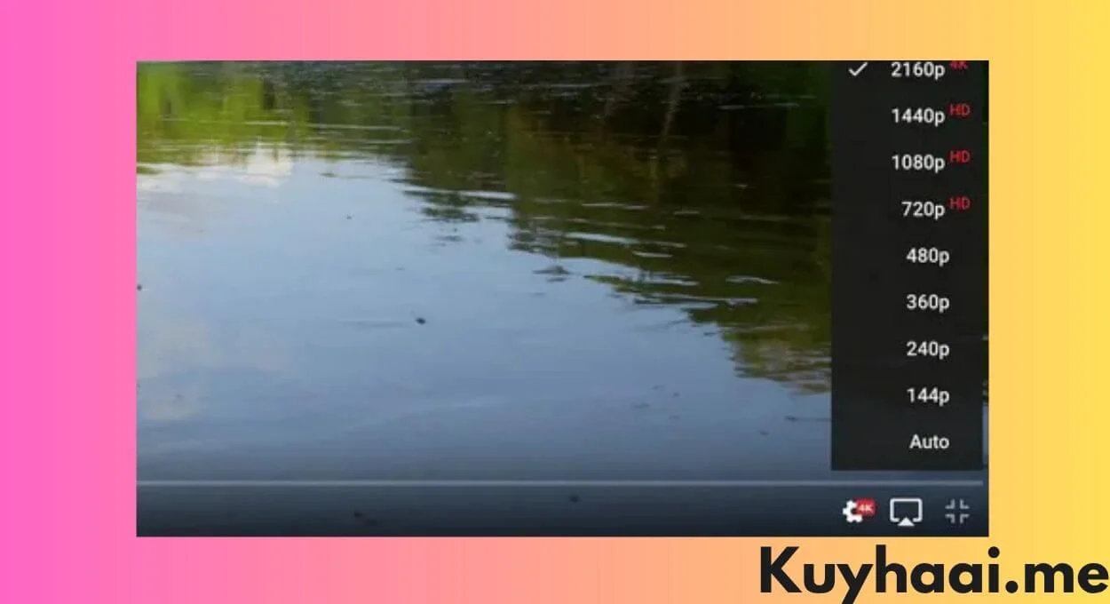 Download YouTube Video 4K HD 2026 Gratis screenshot