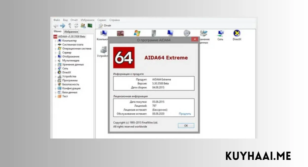 Download AIDA64 Extreme 8.25.8200 Full Version Terbaru - KuYhaa screenshot