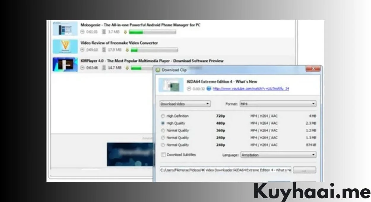 4K Video Downloader 26.0.8 Full Version Terbaru screenshot